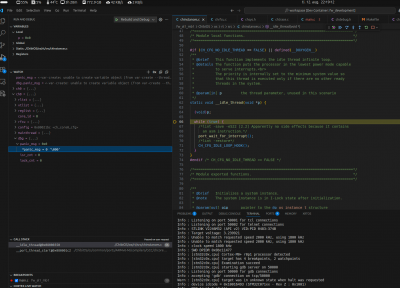ch0.dbg.panic_msg = 0